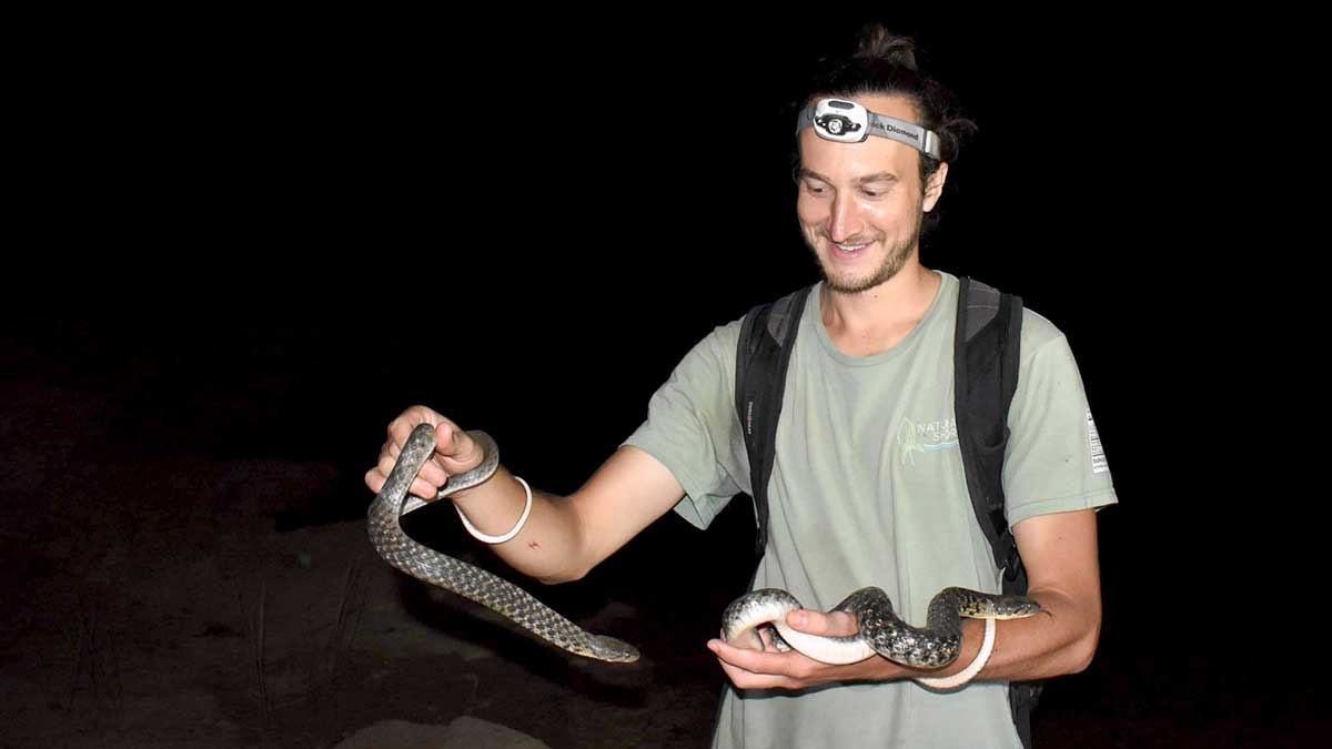 David is holding two snakes, one in each hand.