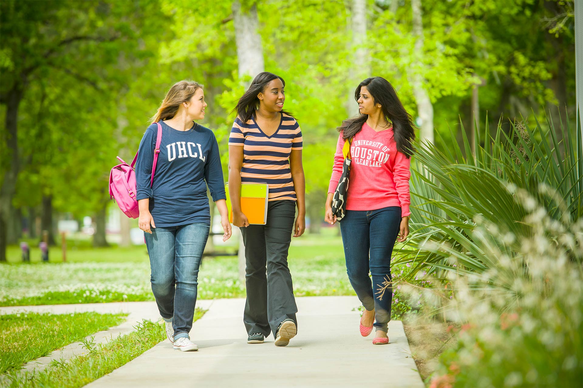 Campus Community University Of Houston Clear Lake