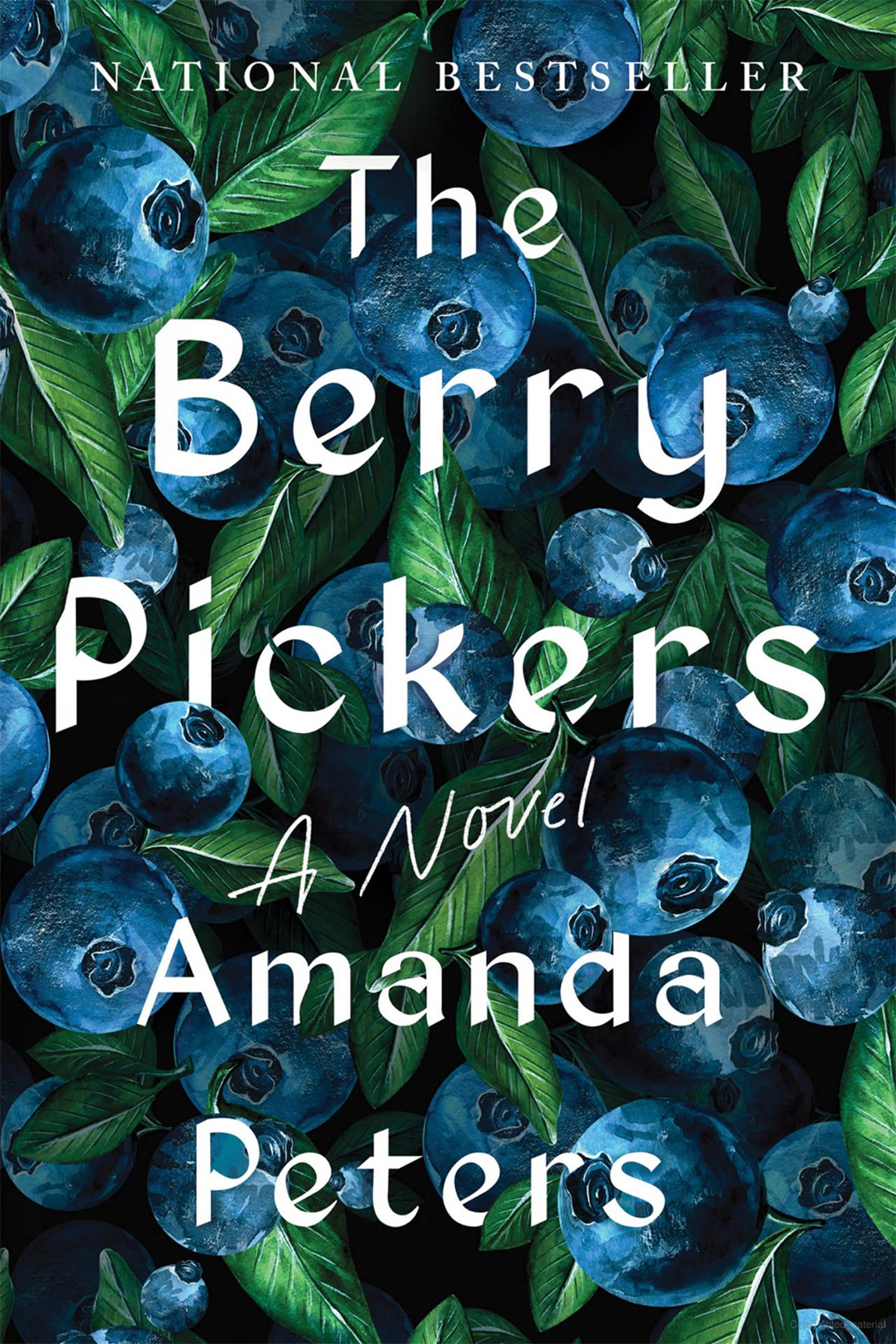 Book cover of The Berry Pickers by Amanda Peters